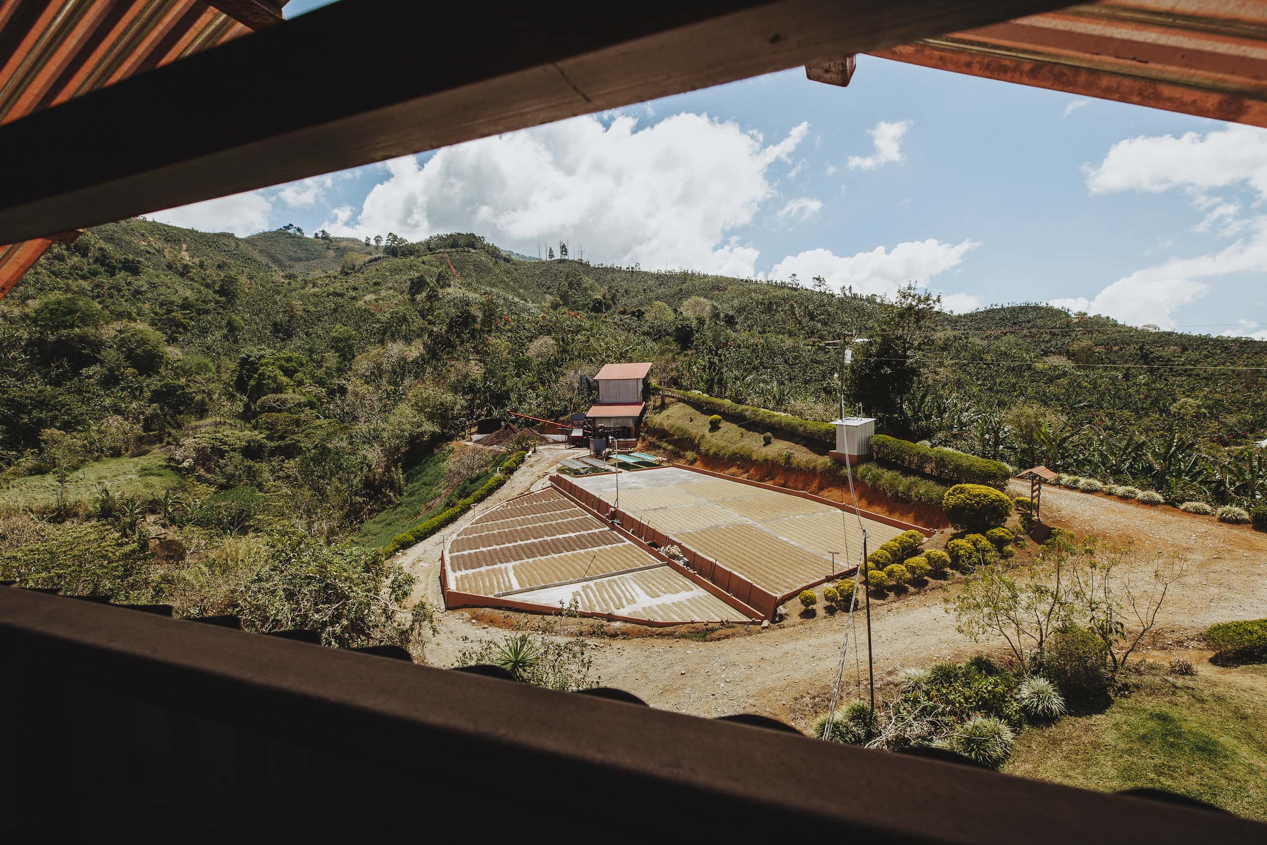 coffee farm processing station with drying patios