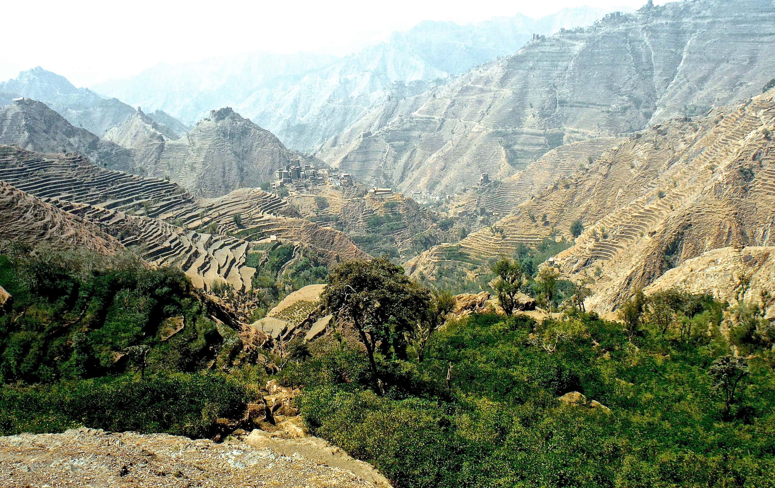 rolling view of yemeni coffee farms