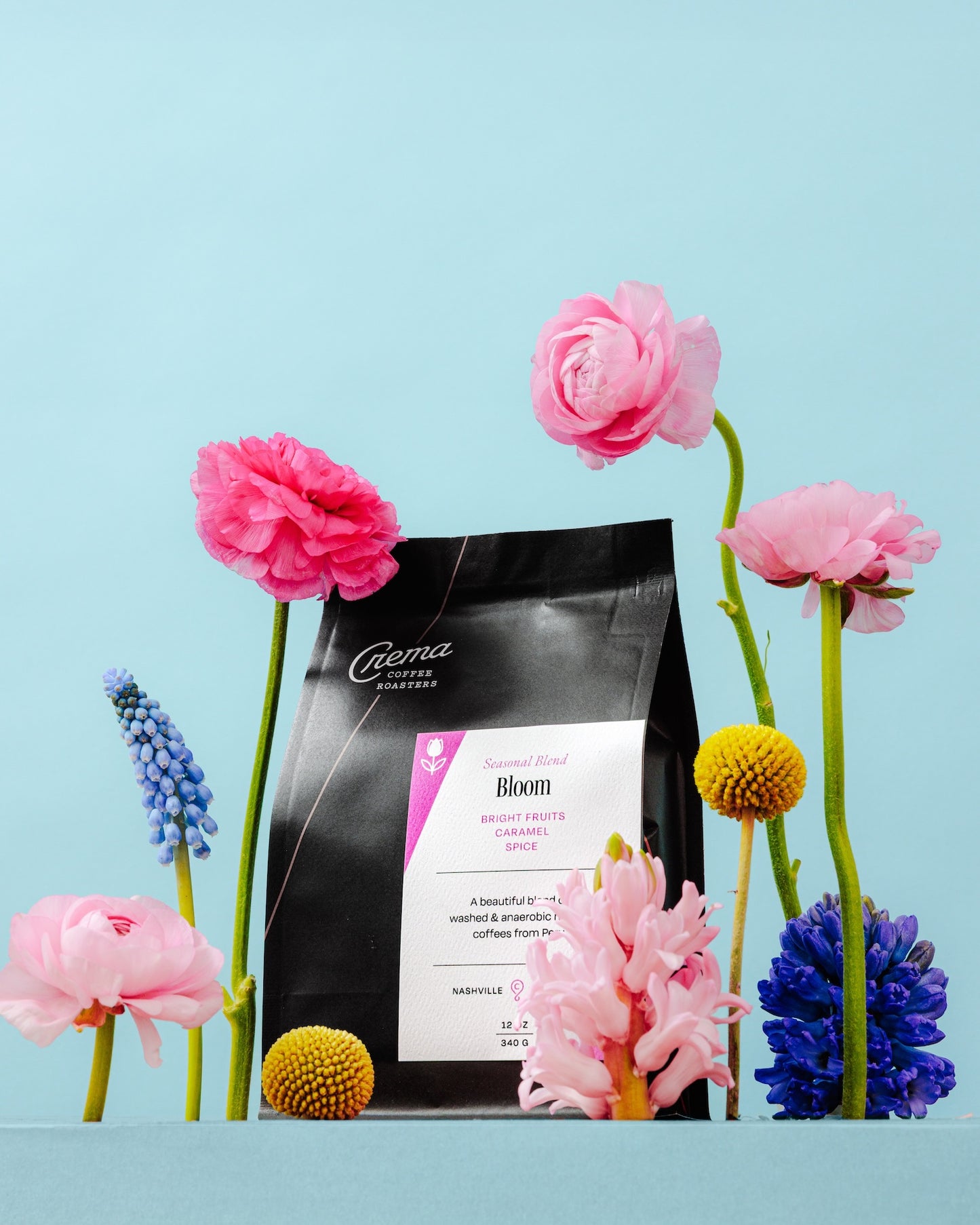 Bloom 2026.jpg__PID:1dcb20d7-4486-4417-bc00-036a6a4cfa33