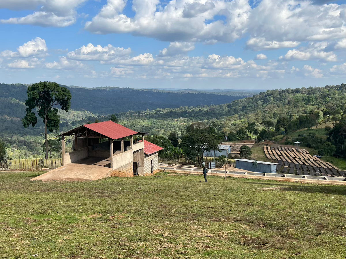 
                  
                    Tagel Alemayehu - Ethiopia
                  
                