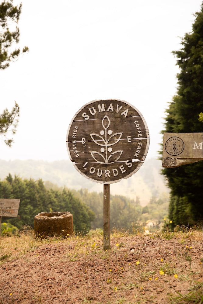 
                  
                    El Manantial Limited Release - Costa Rica
                  
                