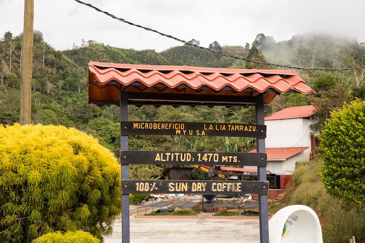 
                  
                    Pie San Typica Limited Release - Costa Rica
                  
                