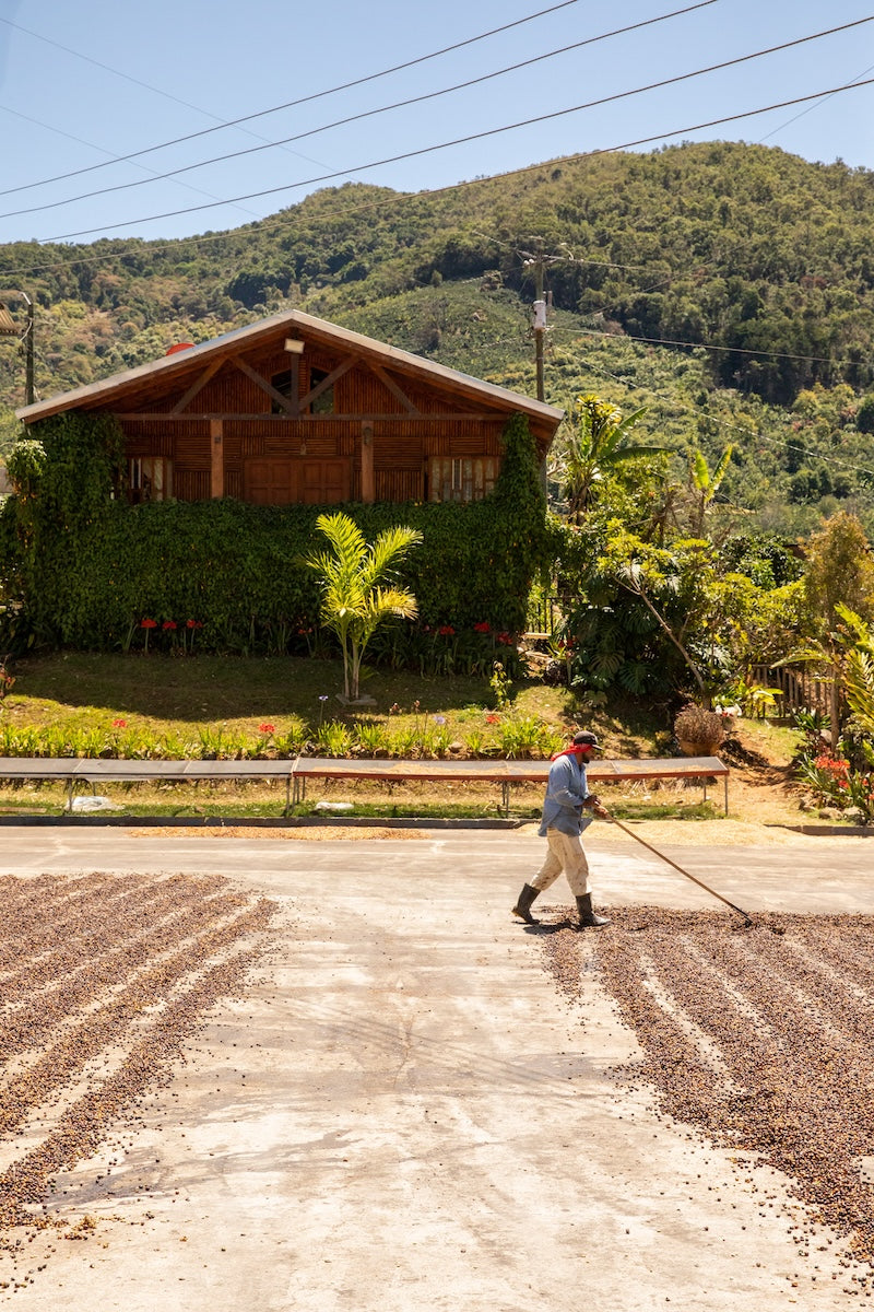 El Cedral - Costa Rica