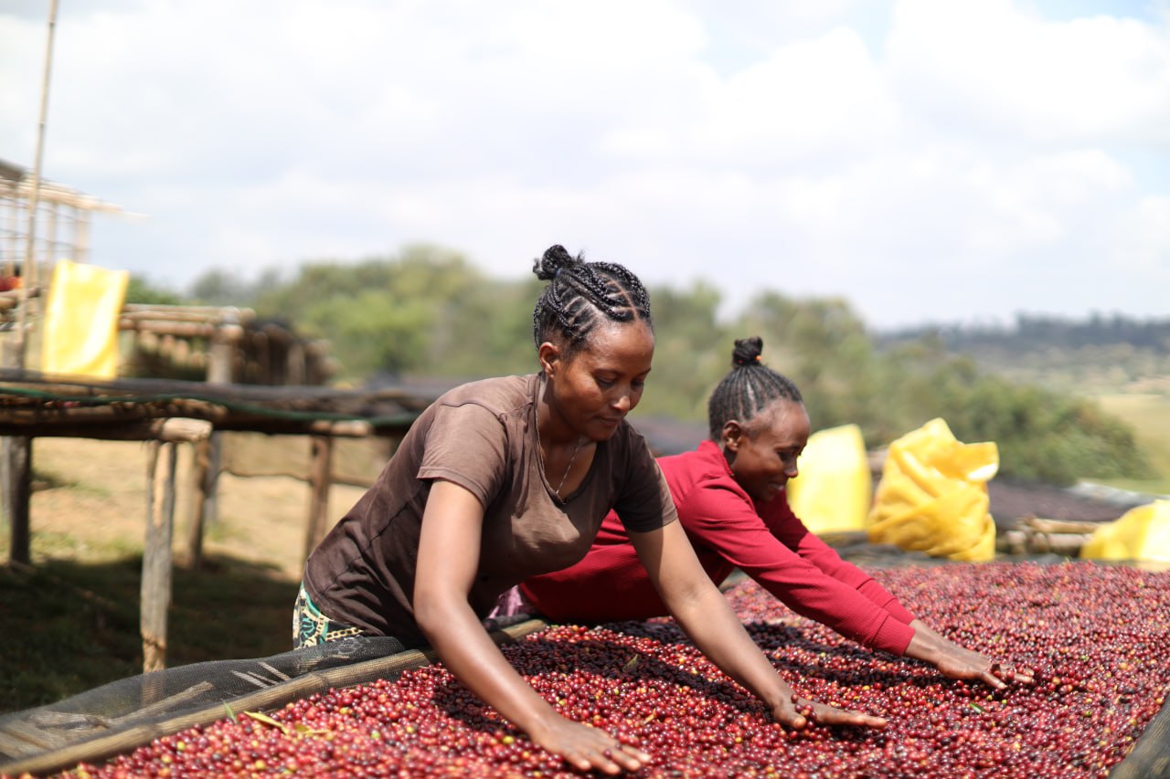 
                  
                    Derara - Ethiopia
                  
                