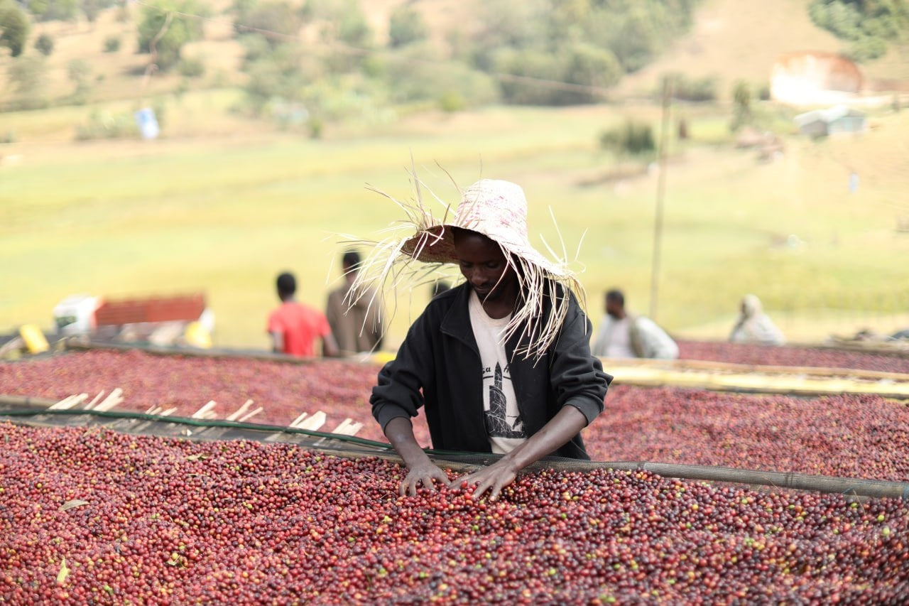 
                  
                    Derara - Ethiopia
                  
                