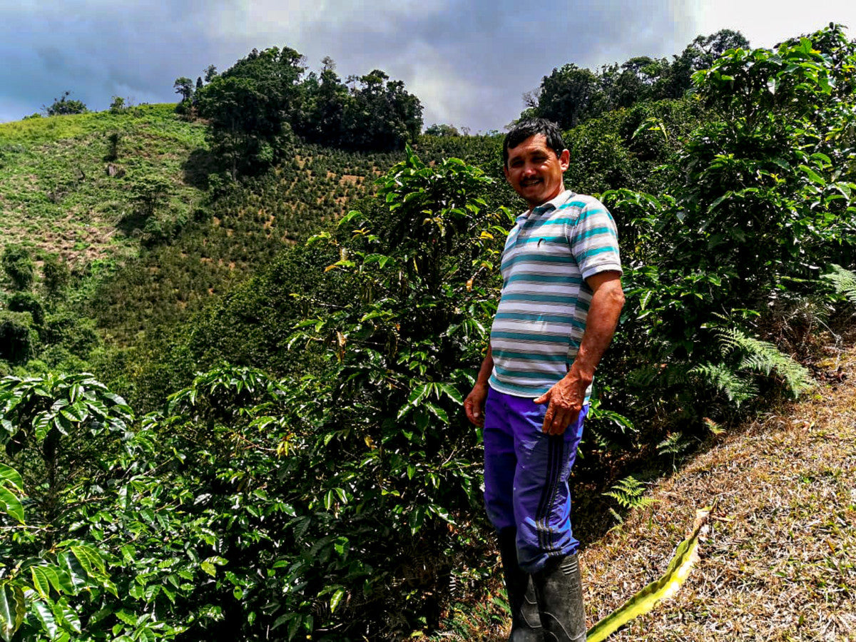 
                  
                    El Eden - Colombia Limited Release
                  
                