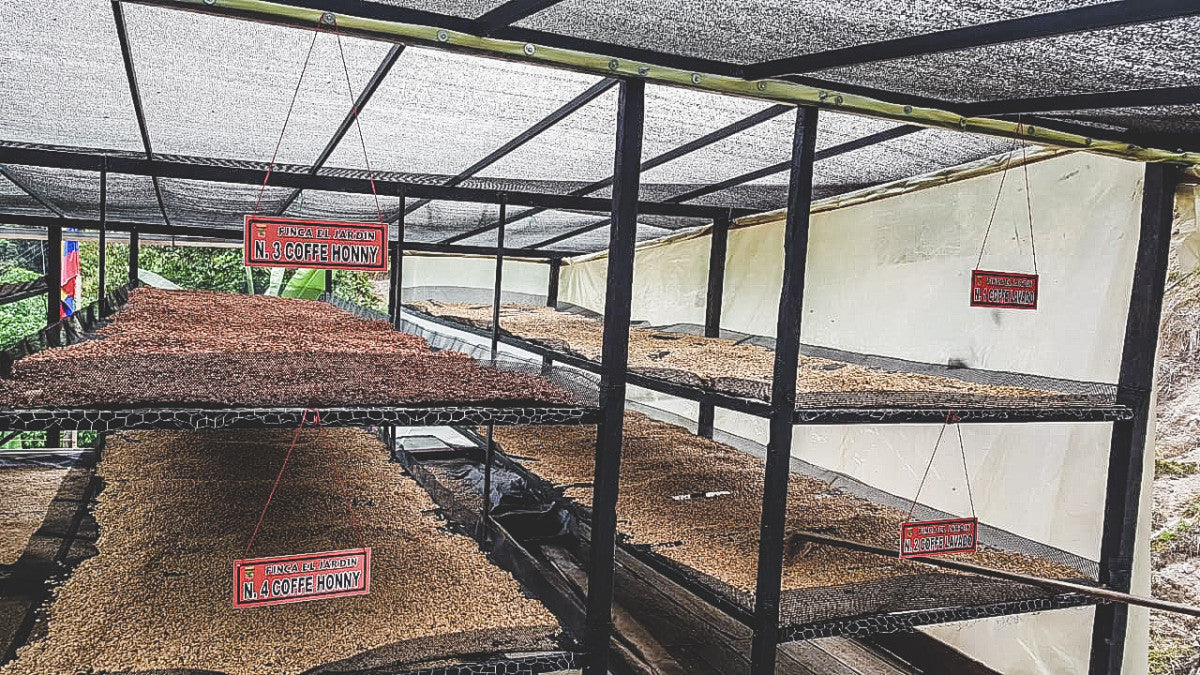 
                  
                    El Jardín - Colombia
                  
                