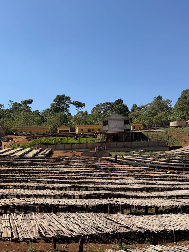 Gotiti - Ethiopia