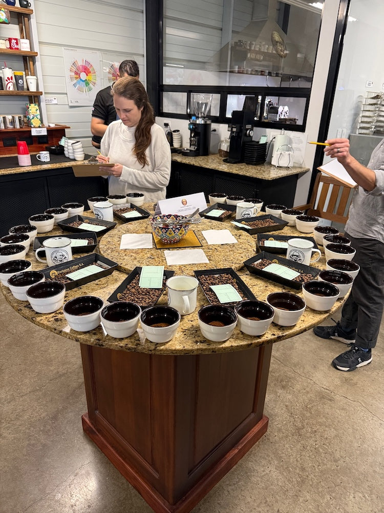 
                  
                    Pie San Typica Limited Release - Costa Rica
                  
                