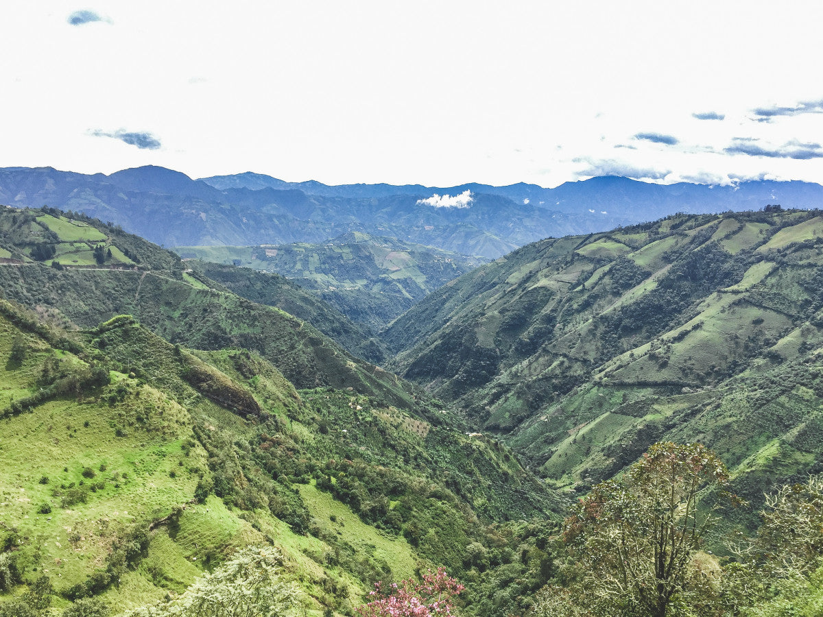 
                  
                    Las Perlitas - Colombia
                  
                