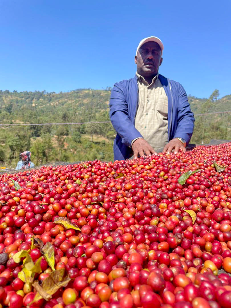 
                  
                    Arbegona Anaerobic Natural Limited Release - Ethiopia
                  
                
