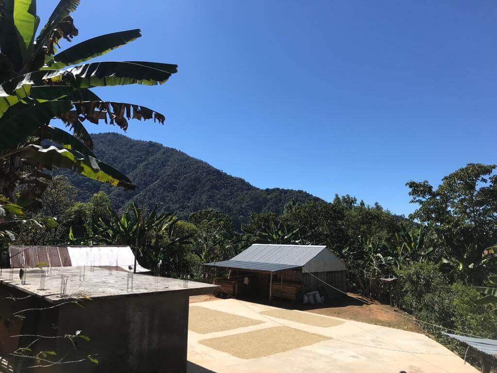 Casimiro - Mexico