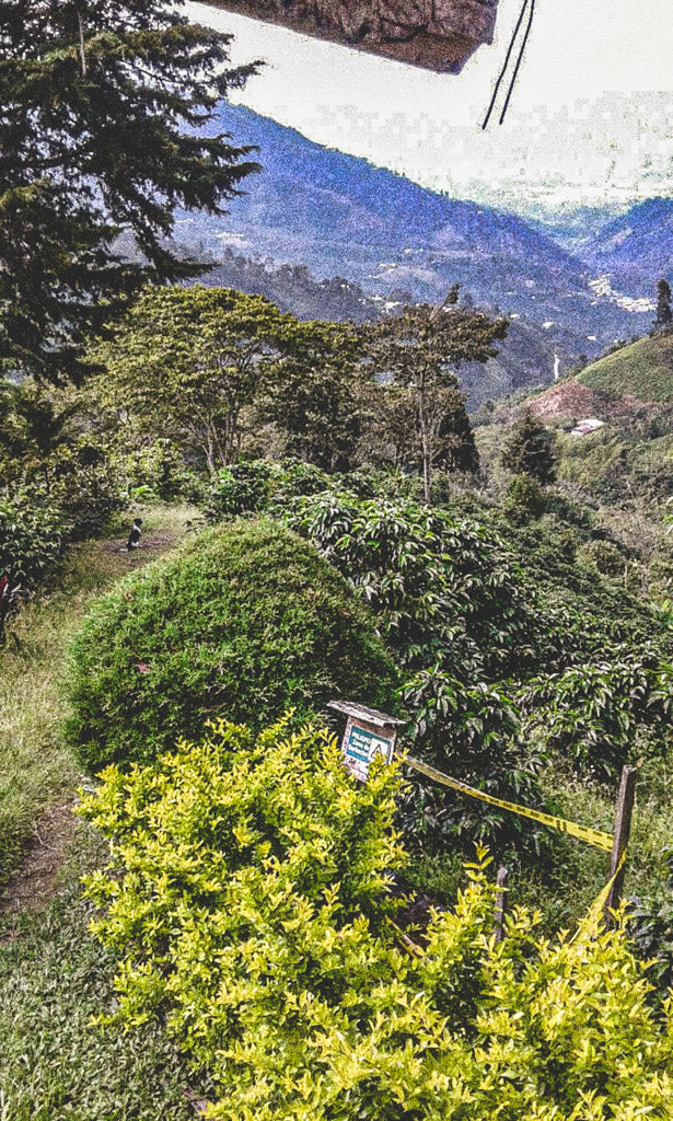 El Recuerdo - Colombia