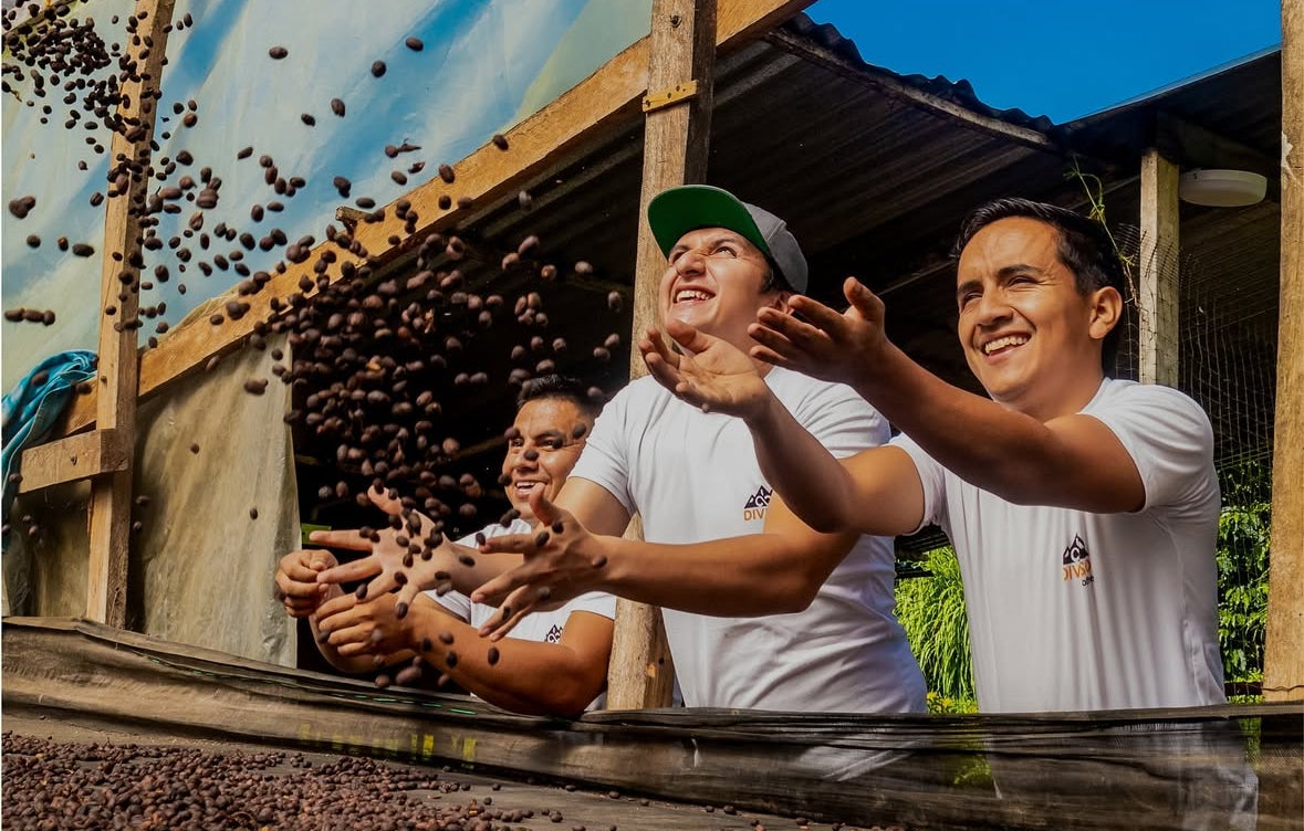 
                  
                    El Diviso Pink Bourbon - Colombia
                  
                