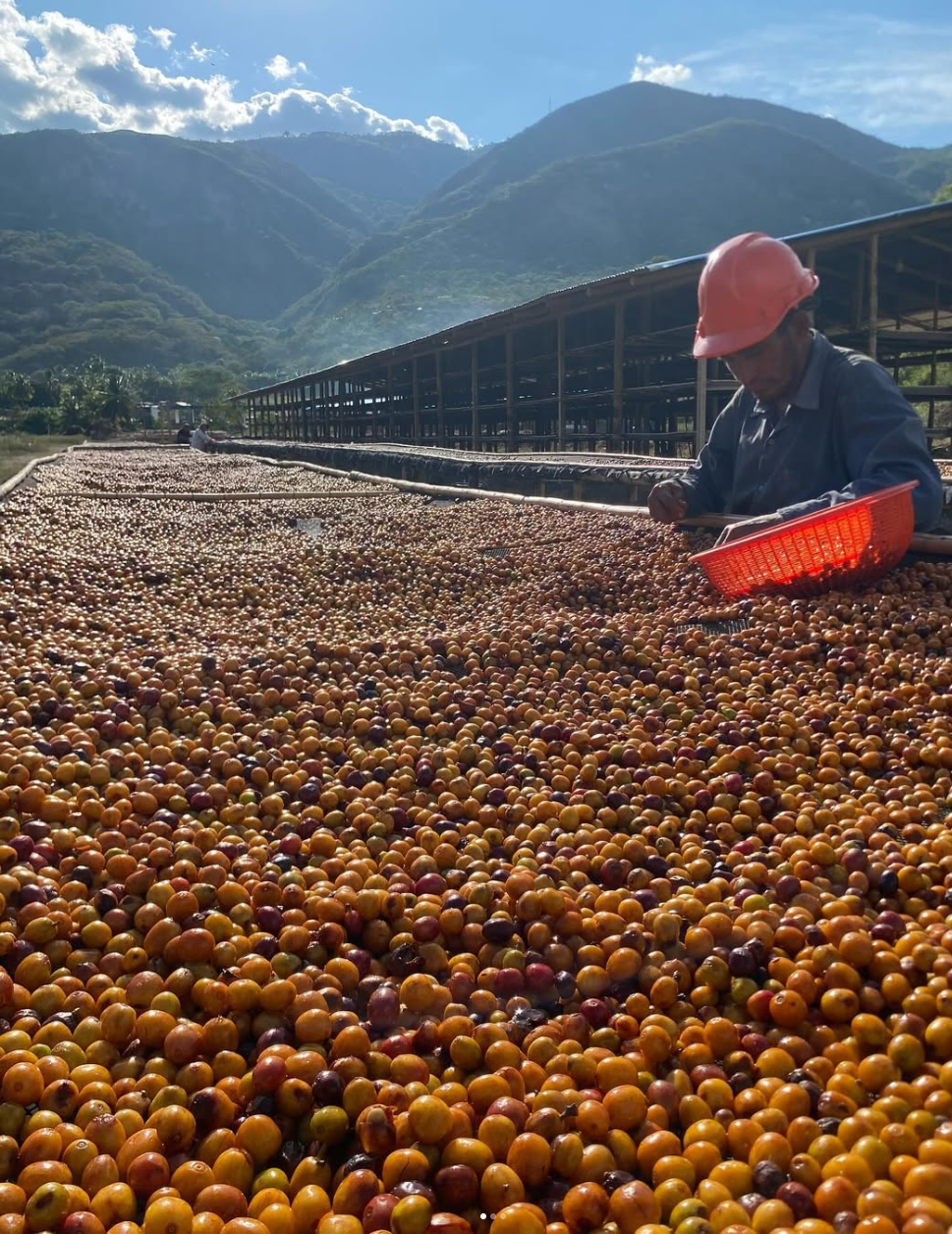 
                  
                    Hermanos Cordova - Peru
                  
                
