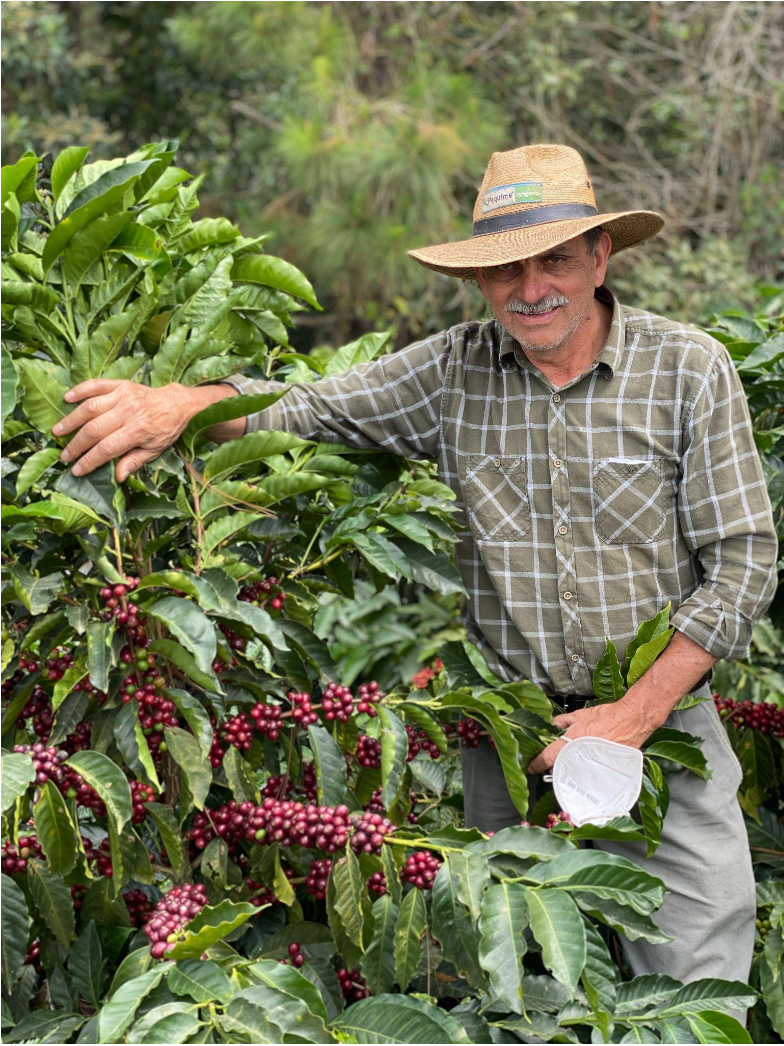 Las Moritas Pacamara - Guatemala