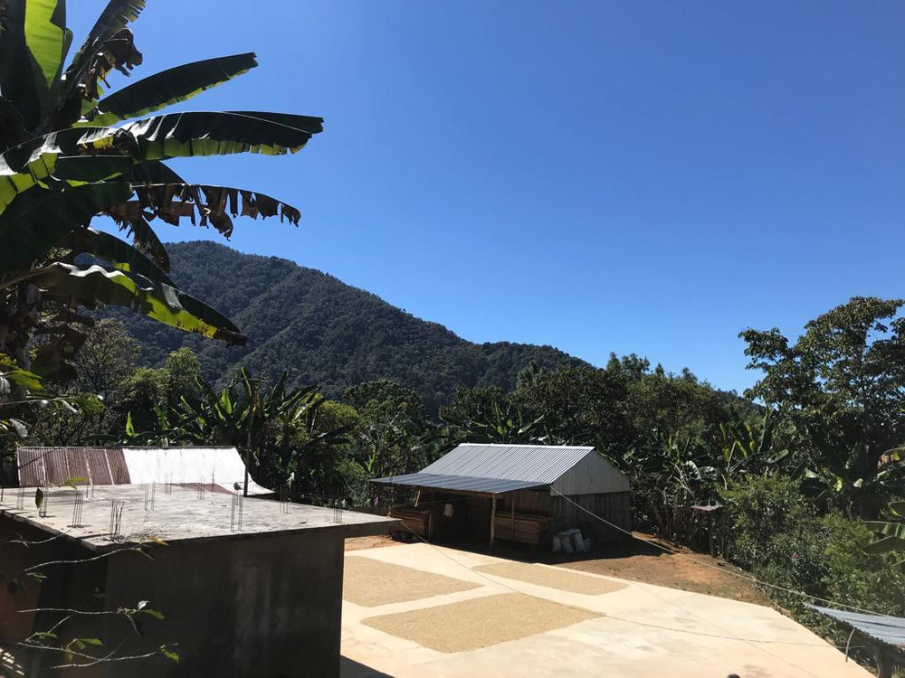 
                  
                    La Victoria - Mexico
                  
                