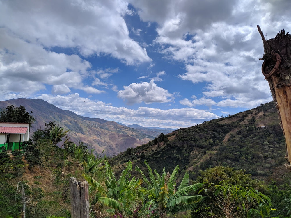 
                  
                    Tablon de Gomez - Colombia
                  
                